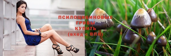 трава Алзамай