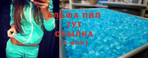твердый Аркадак