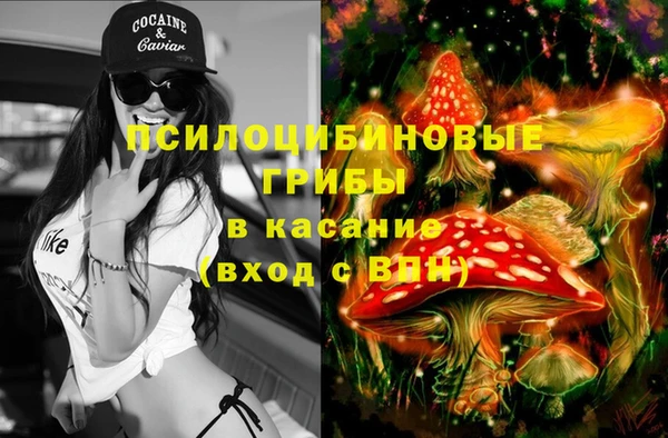 МДПВ Алексеевка