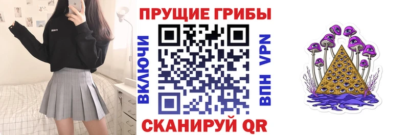 Псилоцибиновые грибы мицелий  Нижний Новгород 